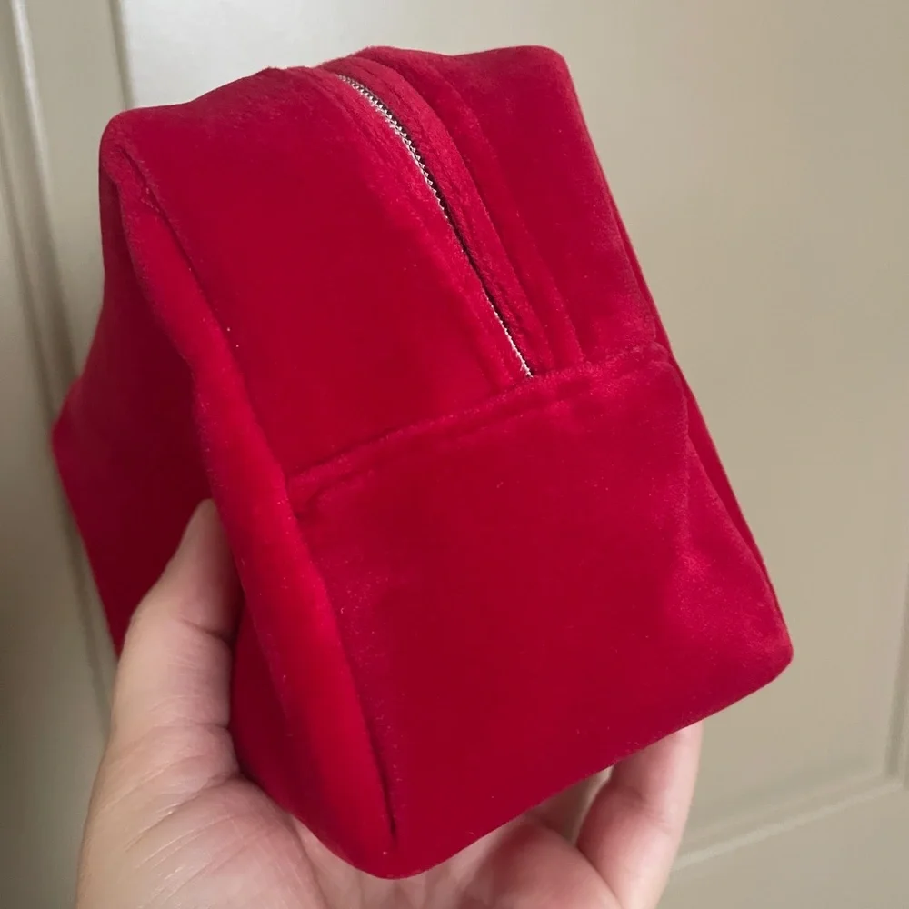 Dior velvet pouch
